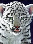 pic for White Tiger Cub